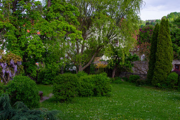 Garden of a country town with green grass, trees and foliage