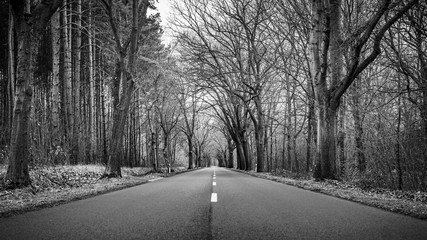 Straight empty asphalt road in the forest with trees on the sides. A European road during a dramatic cloudy winter day. Black and white conversion.