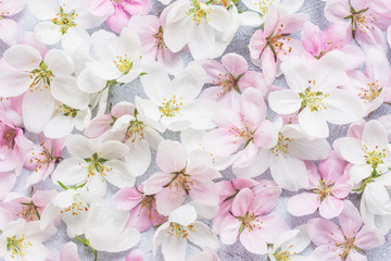 Floral spring blooming background pastel toned.