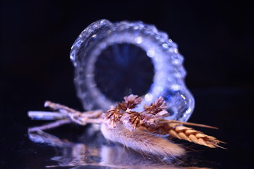 Bouquet of dry seasonal plants