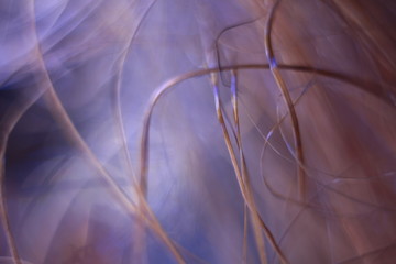 Macro photography of a part of a decorative design