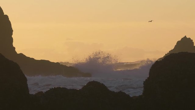 Big ocean waves crashing between cliff rocks at sunset bird flying cannon beach oregon pacific northwest slow motion 