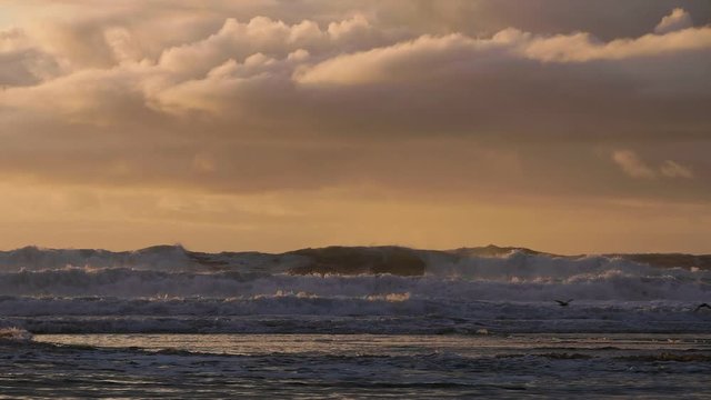 ocean waves at sunset two birds flying across sunset clouds cannon beach oregon pacific northwest slow motion 