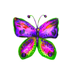 Colorful Watercolor Butterfly on white Background