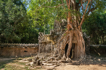 Gate at Ta Som Temple at Angkor Thom, Siem Reap, Cambodia