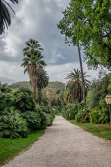Obraz premium Palm trees in Botanical Garden in Trastevere, Rome Italy