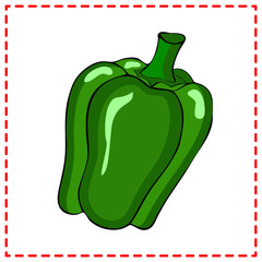 Sweet  green  pepper.Vector botanical illustration in cartoon style. Isolated object on white background. Suitable for menus, kitchen prints, textiles.