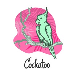 Australian cockatoo parrot sitting on a branch of a tropical tree, on a pink background. Drawn in linear graphics, isolate for banners, cards, posters and sites.