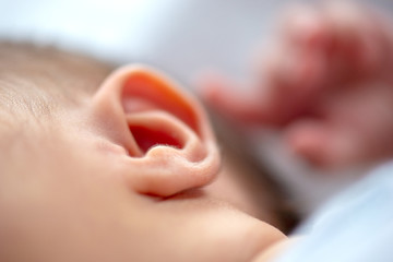 Closeup of a newborn ear - obrazy, fototapety, plakaty