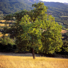 APPENNINO TOSCO EMILANO | MAB UNESCO