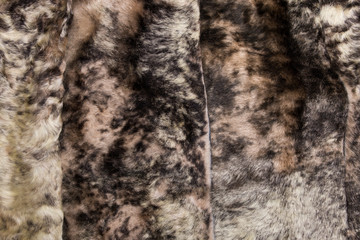 Fur texture close up. Fur on winter women's clothing.