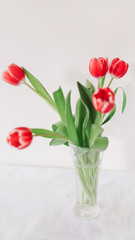 Red tulips in vase on white background. Concept of holiday, birthday, Easter, International Womens Day. 