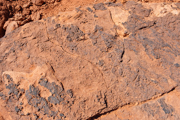 The detail texture of stone