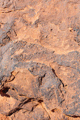 The detail texture of stone