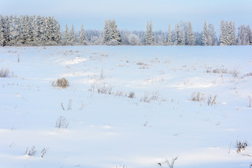Beauty of nature in winter