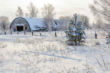 Obraz premium Beauty of nature in winter