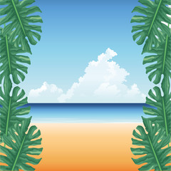 summer time in beach tropical monstera leaves sand sea