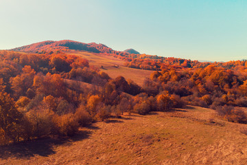Autumn in the mountains. View of the mountain slope in autumn. Beautiful nature landscape. Carpathian mountains
