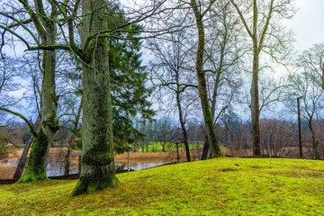 Fototapeta premium Late autumn in Latvia, Dundaga. Park with a beautiful lake near the old castle.