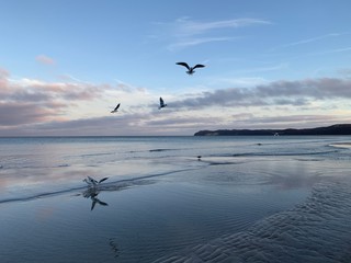 A Day at the Binz Beach on Island Rügen