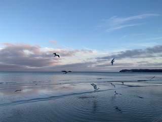 A Day at the Binz Beach on Island Rügen