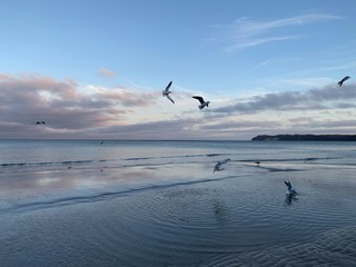 A Day at the Binz Beach on Island Rügen