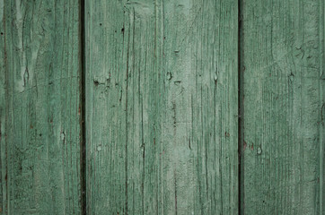 Old wood texture background. Green natural boards in vintage style for backdrop wall.