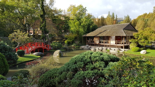 Jardin japonnais
