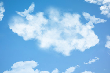 Couple of dove birds in cloud shape soars in blue sky. Concept of love, romance and happy relations. Valentine day or wedding greeting card. Pure clear skyline with emotional expression