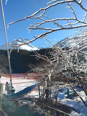 Frozen tree with Patagonian winter with beautiful snowy mountain in the background