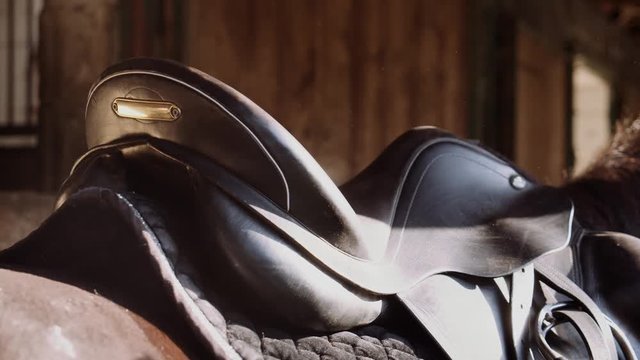 Preparing a horse in stables
