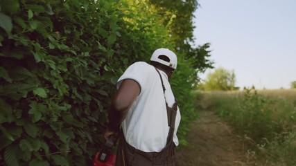 Afroamerican gargener cutting bushes.