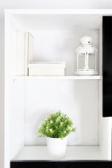 Close up of White black bookshelf with decorative plant and book. Modern interor design concept