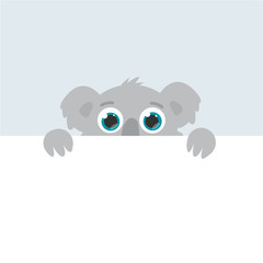 curious australian koala peeps out. flat vector cartoon illustration