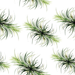 Print summer exotic jungle plant tropical palm leaves. Pattern, seamless floral on the black white geometric background.