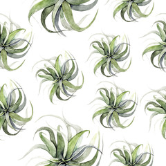 Print summer exotic jungle plant tropical palm leaves. Pattern, seamless floral on the black white geometric background. Nature wallpaper.