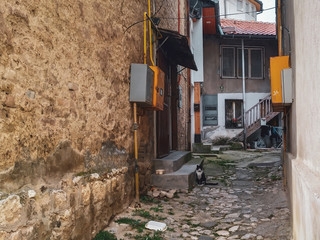 Oude kleine steeg die leidt naar enkele huizen met een kat die op het pad zit met een traditionele en oude uitstraling van muren en grond