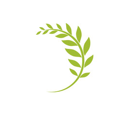 Green curved twig isolated on white.