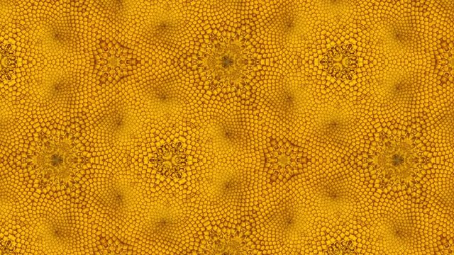 Kaleidoscope backdrop of gerbera flower head macro, bright yellow and orange colors, pollen. 4K seamless loop. Natural floral background