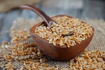 Khorasan wheat or kamut (Triticum turgidum) in wooden bowl