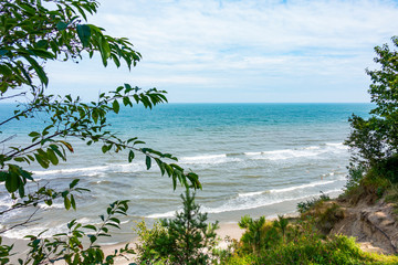 Morze Bałtyckie rośliny plaża