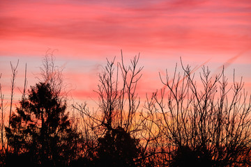 Obraz premium Beautiful morning sunrise with bare trees and orange clouds above gardens in the city of Nuremberg in Germany in January