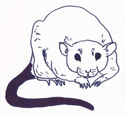 The rat is sitting. Linear illustration on a white background.