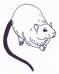 The rat is sitting. Linear illustration on a white background.