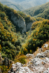 Fototapeta na wymiar Carpathian mountains, forest, nature with rocks