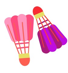 Badminton Shuttlecock