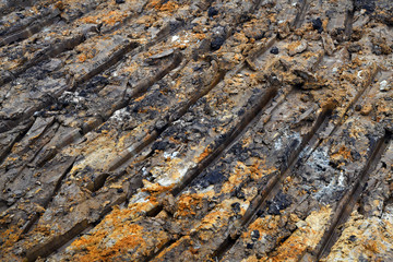  Interesting traces of bulldozers in the mud. Beautiful mud texture and colors. Muddy background.