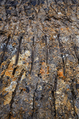 Obraz premium Interesting traces of bulldozers in the mud. Beautiful mud texture and colors. Muddy background.