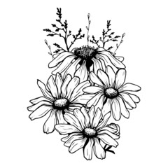 Obraz premium Beautiful monochrome black and white bouquet isolated on background. Hand-drawn flowers. Design greeting card and invitation of holiday. Line art vector illustration.