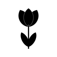 Black Tulip icon over white background